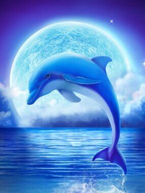 A Stunning 12" x 12" Dolphin in a Full Moon Print on Canvas